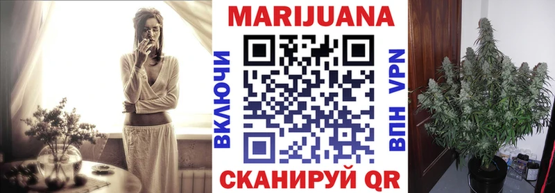 Конопля план  Междуреченск 